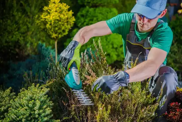 landscaping services Morrisonville